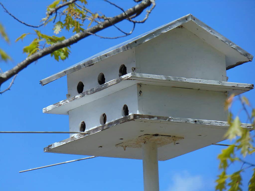 Multi-compartment birdhouse on pole for colony nesting birds in outdoor setting
