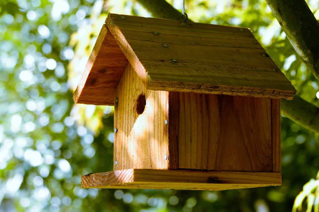 Simple wooden DIY birdhouse hanging in tree with natural outdoor setting