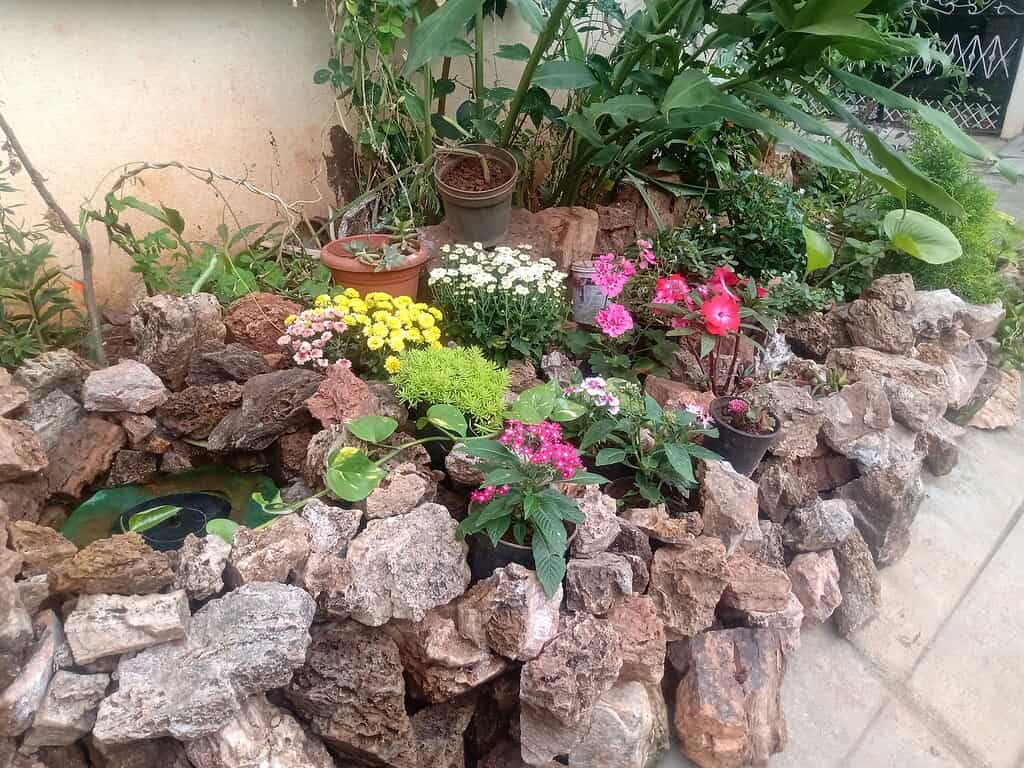 Backyard garden rock bed with colorful flowers, potted plants, and small water feature creating a vibrant landscaped corner

