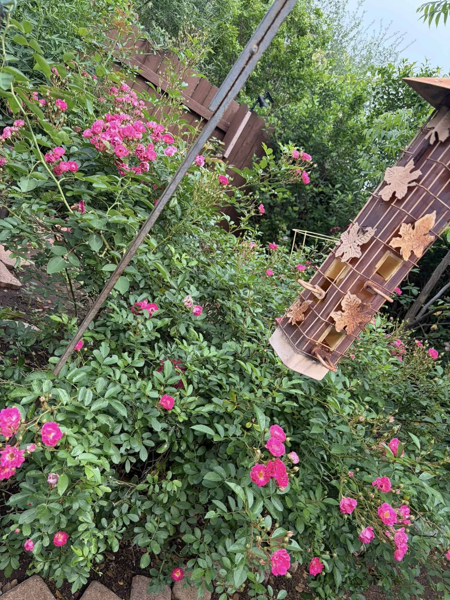 Garden with blooming flowers and greenery, part of a backyard where herbs can be grown and later dried