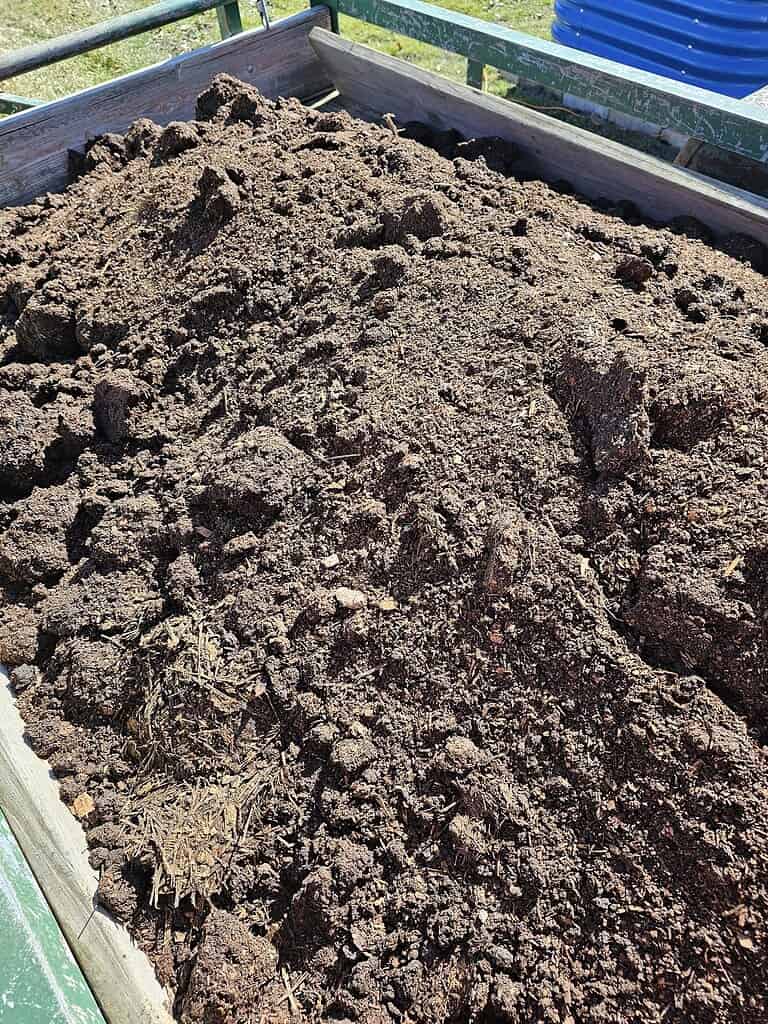 Fresh compost soil in a trailer ready for use in a summer garden