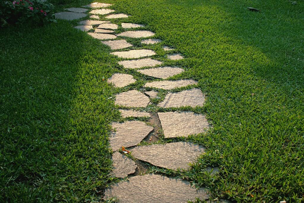 Stone stepping path through green grass lawn, natural garden walkway landscaping.
