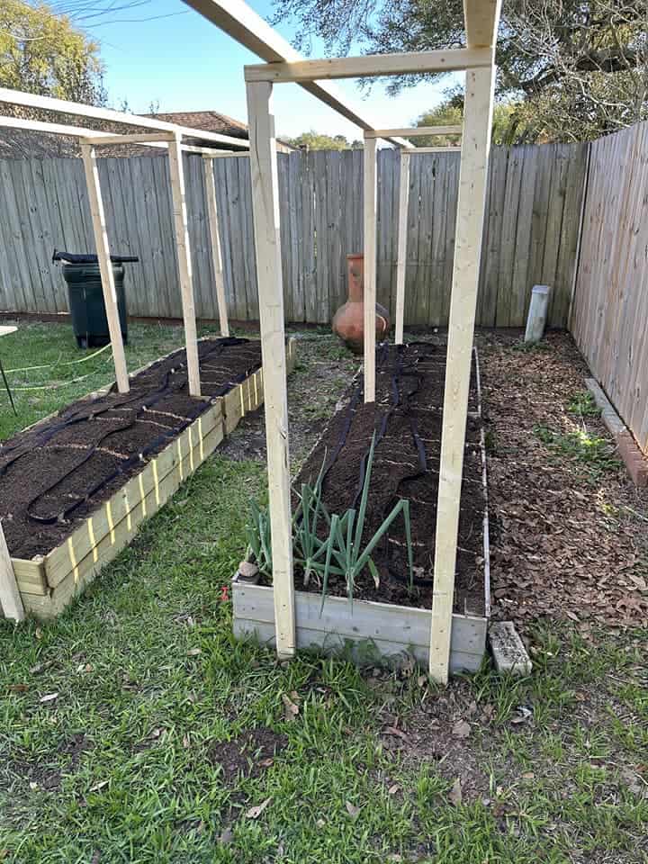 Two raised garden beds with soil and drip lines, framed by simple wooden trellises in a fenced backyard.
