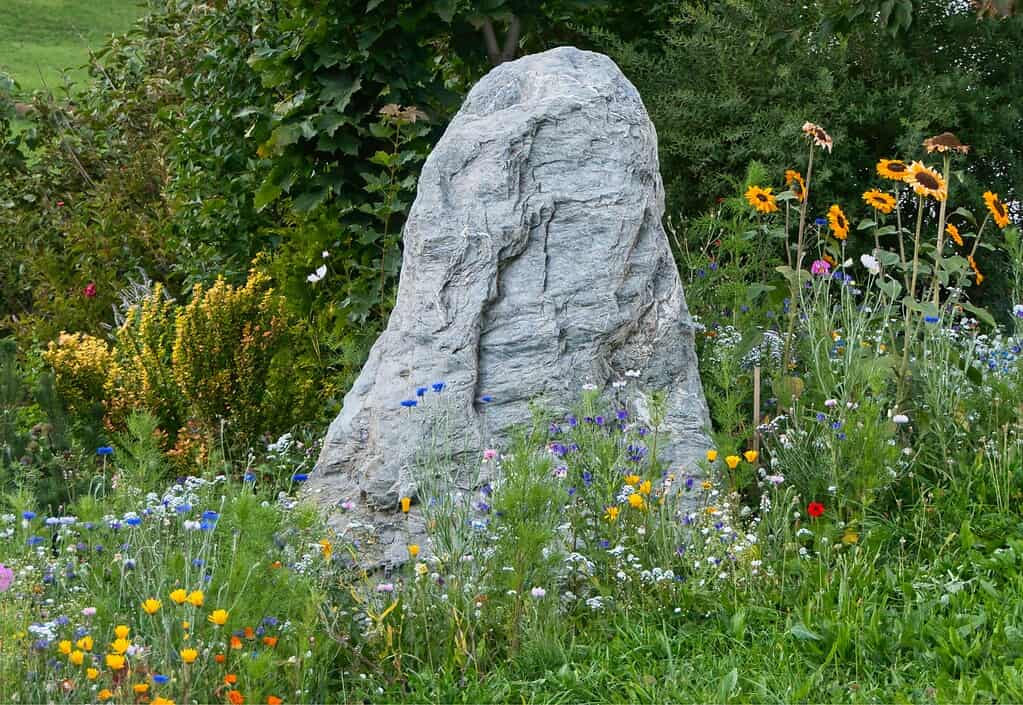 Rock garden with a large natural stone centerpiece surrounded by colorful wildflowers and lush green plants in a natural landscape setting.