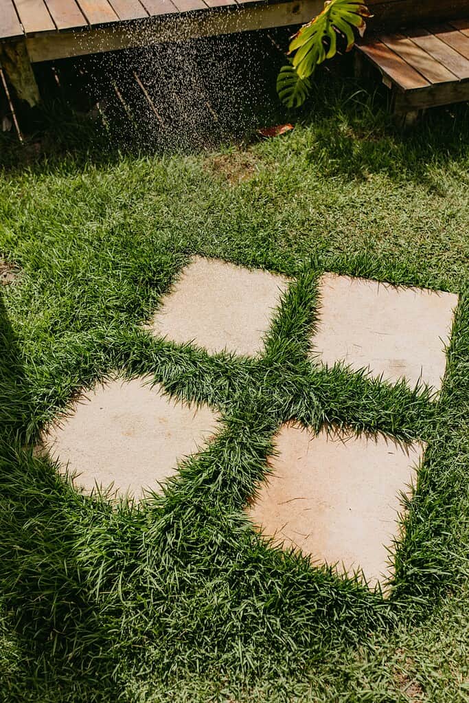 Square concrete pavers set in grass with green turf growing between them.
