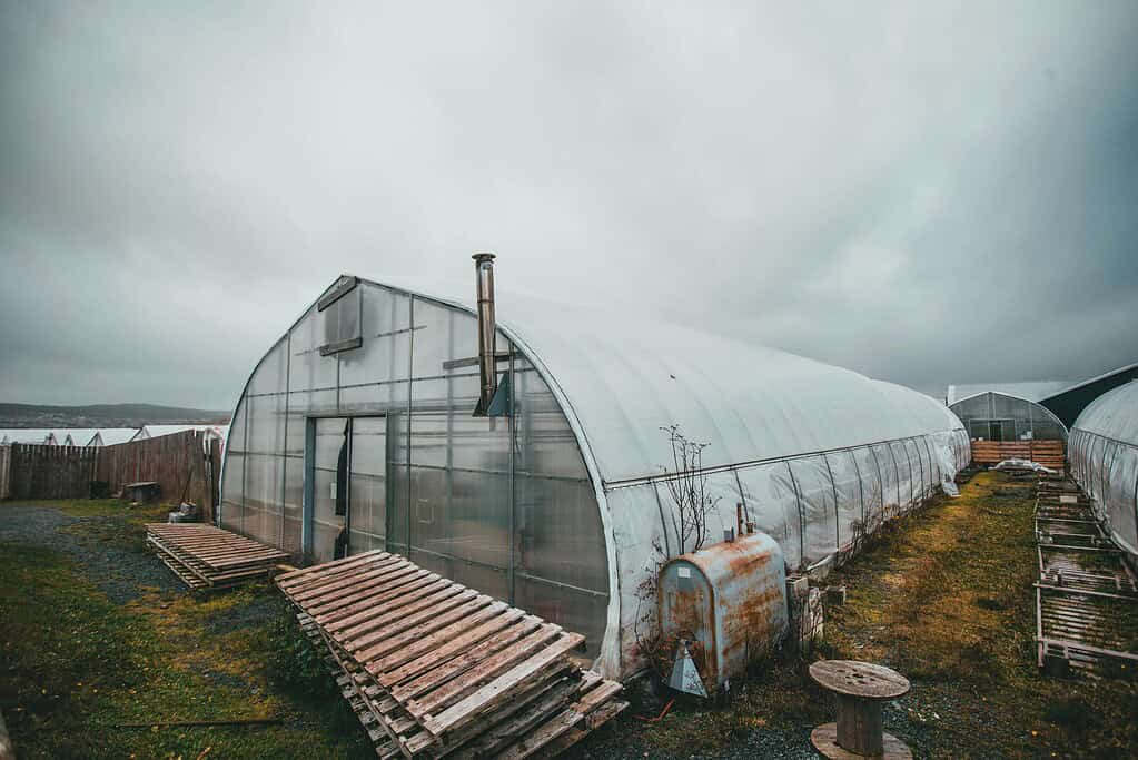 Large covered quail coop with greenhouse-style structure outdoors.

