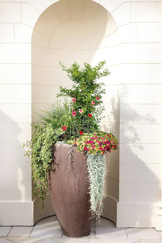 Flower pot with mixed greenery and colorful flowers in a tall decorative planter.
