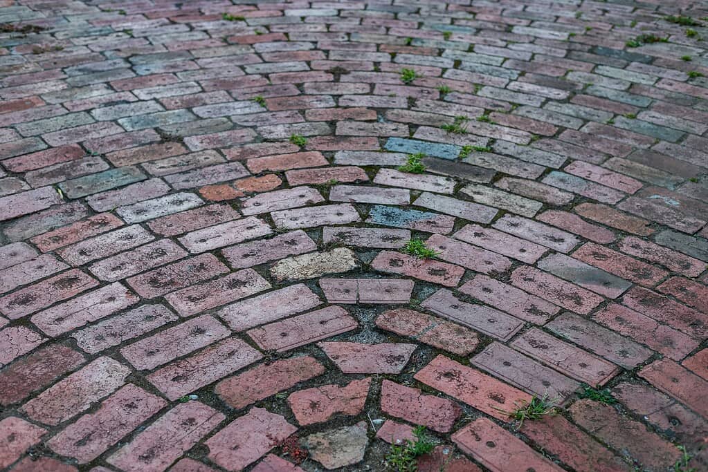 Circular brick paver pattern with small weeds growing between the joints.
