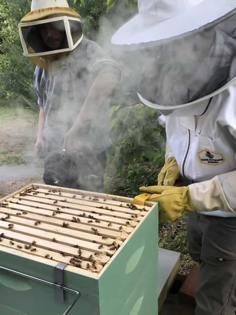 Two beekeepers in protective suits inspecting a hive while using smoke around active bees.