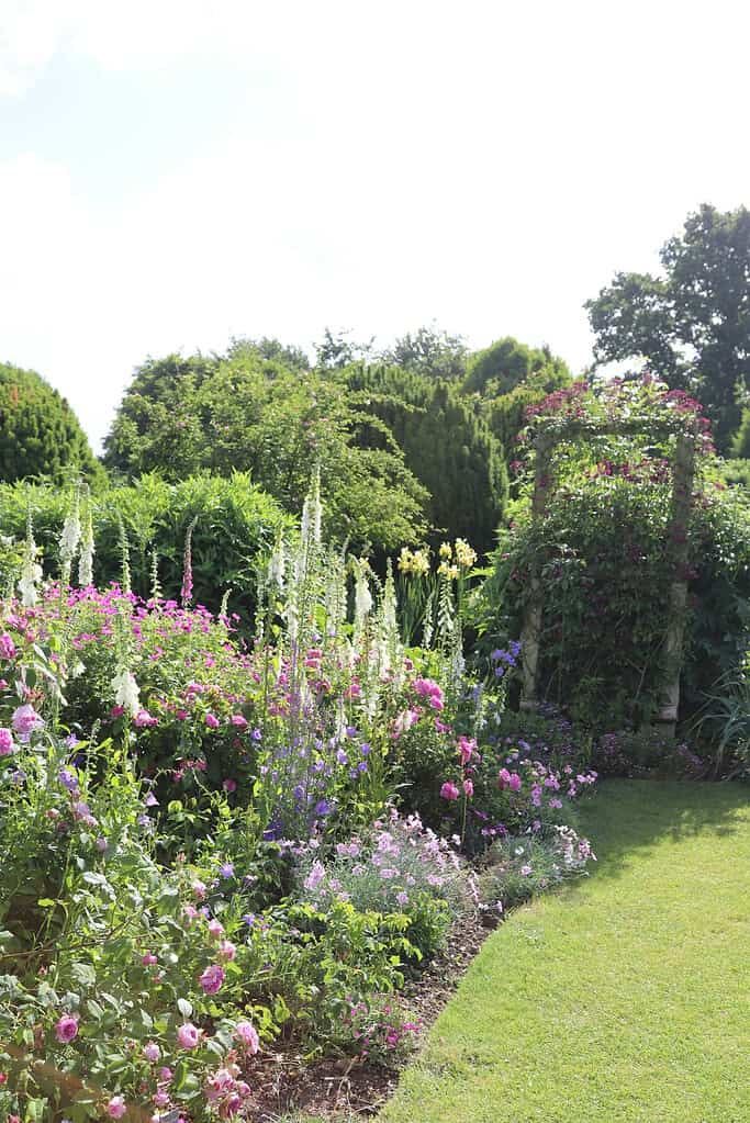 Cottage garden border with blooming pink, white, and purple flowers along a curved lawn.
