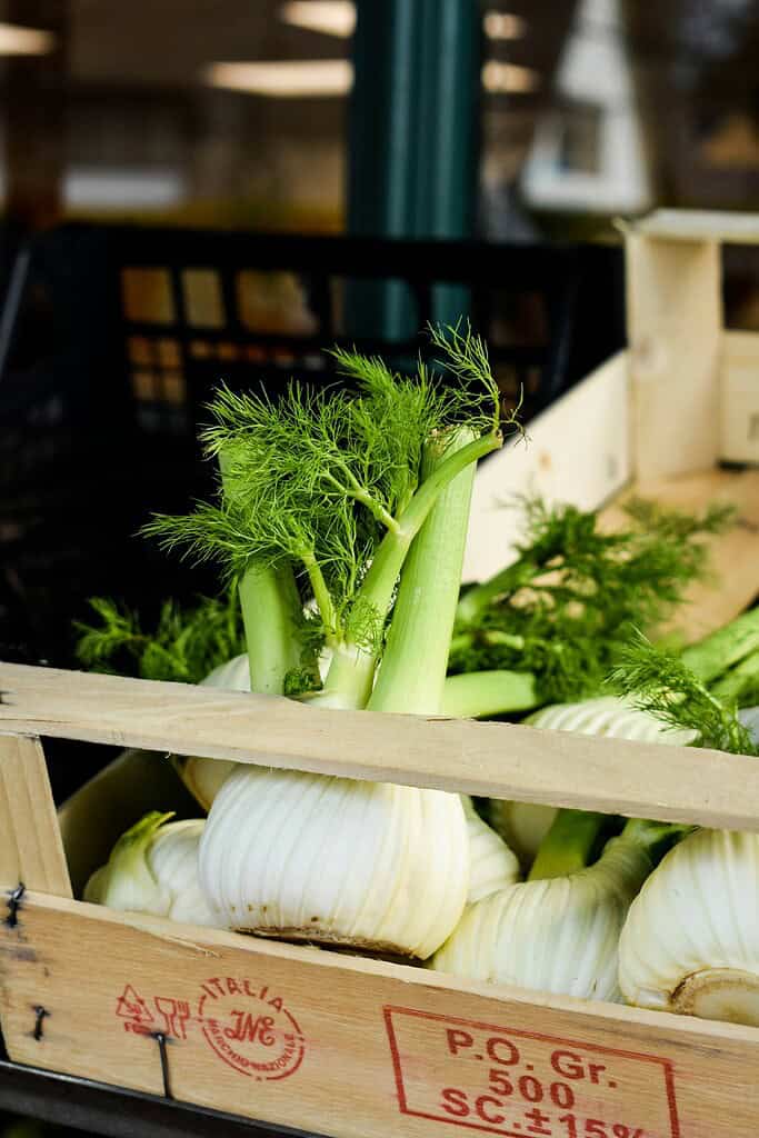 Fresh fennel bulbs with green fronds in a wooden crate.