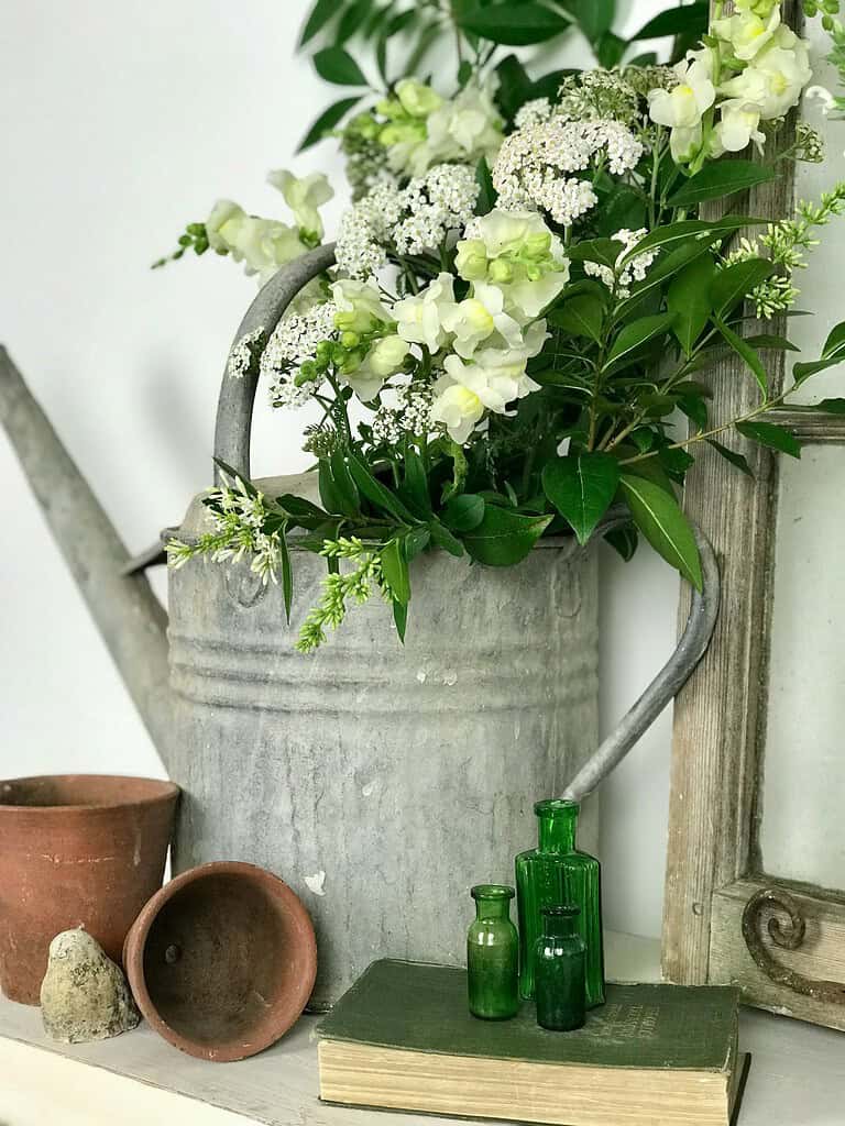 Flower pot arrangement with white blooms in a rustic metal watering can indoors.