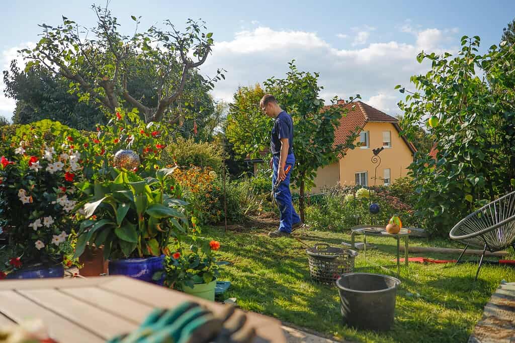 Person gardening in a lush backyard filled with flowers and trees.
