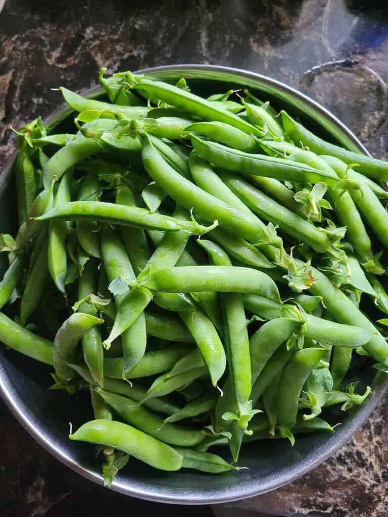 Bowl filled with freshly harvested green peas in their pods on a kitchen counter.