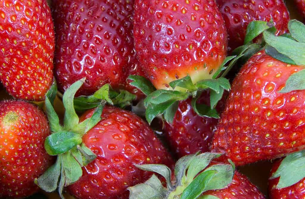 Close-up of fresh red strawberries with green leaves and visible water droplets.